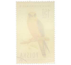 Почтовая марка 1.50 злотых 1975 года Польша «Соколы - Кобчик» — Фото №2