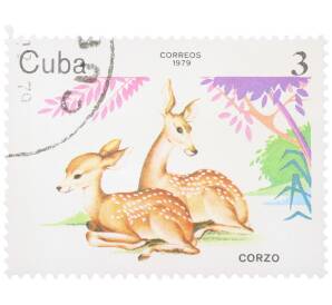 Почтовая марка 3 сентаво 1979 года Куба «Животные зоопарка - Косуля» — Фото №1
