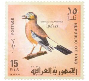 Почтовая марка 15 филс 1968 года Ирак «Птицы Ирака - Евразийская сойка» — Фото №1