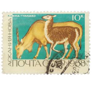 Почтовая марка 10 копеек 1968 года СССР «Государственные заповедники — Канна и гуанако» — Фото №1