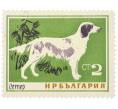 Почтовая марка 2 стотинки 1964 года Болгария «Породы собак — Сеттер» (Артикул: K12-81583) — Фото №1