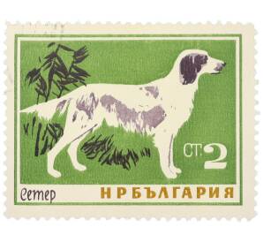 Почтовая марка 2 стотинки 1964 года Болгария «Породы собак — Сеттер» — Фото №1