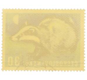 Почтовая марка 30 геллеров 1966 года Чехословакия «Охотничьи животные — Барсук» — Фото №2