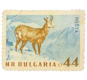 Почтовая марка 44 стотинки 1958 года Болгария «Фауна — Серна» — Фото №1