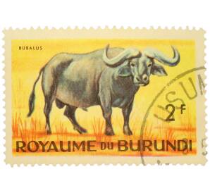 Почтовая марка 2 франка 1964 года Бурунди «Фауна Африки — Африканский буйвол» — Фото №1