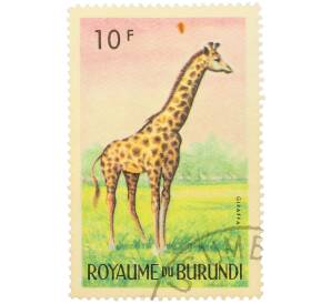 Почтовая марка 10 франков 1964 года Бурунди «Фауна Африки — Жираф» — Фото №1