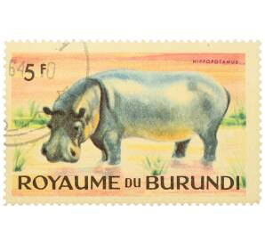 Почтовая марка 5 франков 1964 года Бурунди «Фауна Африки — Бегемот» — Фото №1