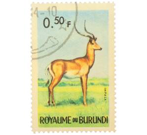 Почтовая марка 0.50 франка 1964 года Бурунди «Фауна Африки — Импала» — Фото №1