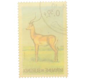 Почтовая марка 0.50 франка 1964 года Бурунди «Фауна Африки — Импала» — Фото №2