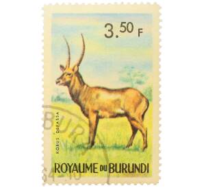 Почтовая марка 3.5 франка 1964 года Бурунди «Фауна Африки — Обыкновенный водяной козел» — Фото №1