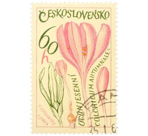 Почтовая марка 60 геллеров 1965 года Чехословакия «Лекарственные растения — Безвременник осенний» — Фото №1