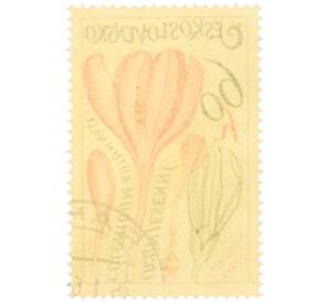 Почтовая марка 60 геллеров 1965 года Чехословакия «Лекарственные растения — Безвременник осенний» — Фото №2