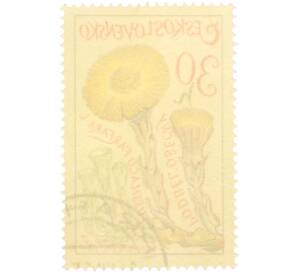 Почтовая марка 30 геллеров 1965 года Чехословакия «Лекарственные растения — Мать-и-мачеха» — Фото №2