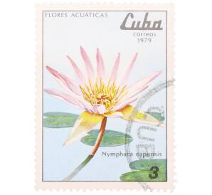 Почтовая марка 3 сентаво 1979 года Куба «Водные цветы — Кувшинка капская» — Фото №1
