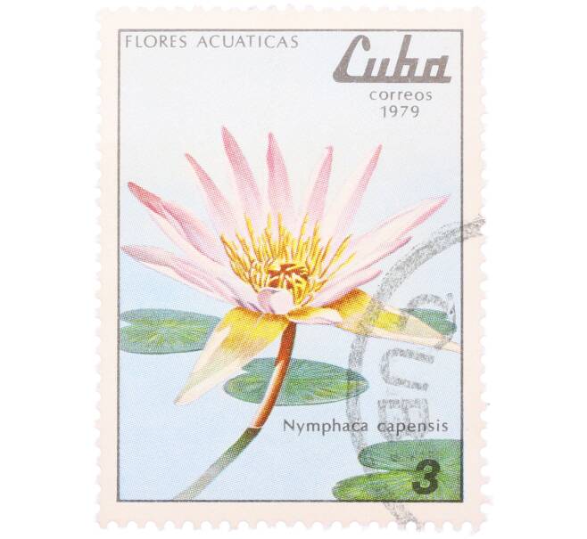 Почтовая марка 3 сентаво 1979 года Куба «Водные цветы — Кувшинка капская» (Артикул: K12-81603) — Фото №1