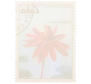 Почтовая марка 30 сентаво 1979 года Куба «Водные цветы — Красная кувшинка» — Фото №2