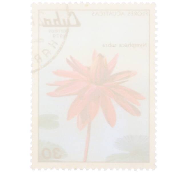 Почтовая марка 30 сентаво 1979 года Куба «Водные цветы — Красная кувшинка» (Артикул: K12-81604) — Фото №2