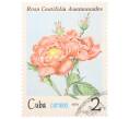 Почтовая марка 2 сентаво 1979 года Куба «Флора — Роза Centifolia Anemonoides» (Артикул: K12-81605) — Фото №1