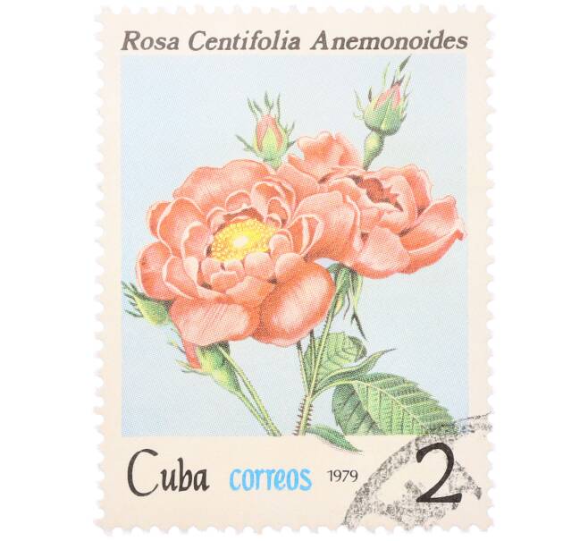 Почтовая марка 2 сентаво 1979 года Куба «Флора — Роза Centifolia Anemonoides» (Артикул: K12-81605) — Фото №1