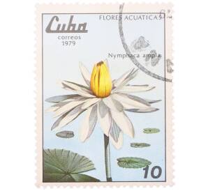 Почтовая марка 10 сентаво 1979 года Куба «Водные цветы — Кувшинка широколистная» — Фото №1