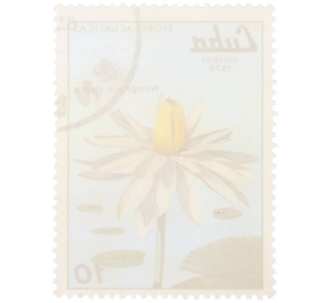 Почтовая марка 10 сентаво 1979 года Куба «Водные цветы — Кувшинка широколистная» (Артикул: K12-81606) — Фото №2