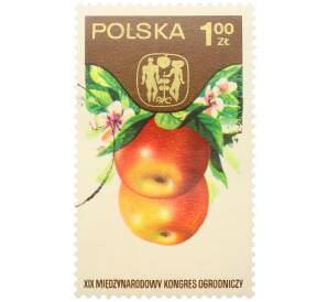 Почтовая марка 1 злотый 1974 года Польша «XIX Международный конгресс огородничества в Варшаве — Яблоки» — Фото №1