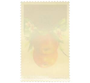 Почтовая марка 1 злотый 1974 года Польша «XIX Международный конгресс огородничества в Варшаве — Яблоки» — Фото №2