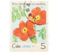 Почтовая марка 5 сентаво 1979 года Куба «Флора — Роза Eglanteria var. Punicea» (Артикул: K12-81609) — Фото №1