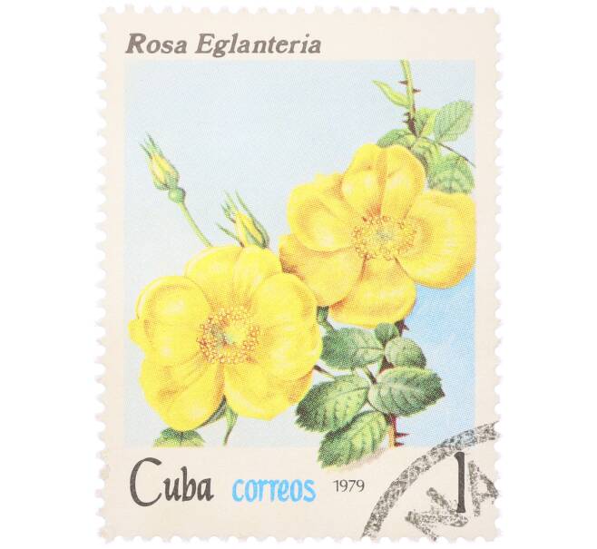 Почтовая марка 1 сентаво 1979 года Куба «Флора — Роза Eglanteria» (Артикул: K12-81610) — Фото №1