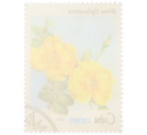 Почтовая марка 1 сентаво 1979 года Куба «Флора — Роза Eglanteria» — Фото №2