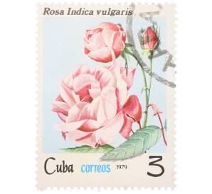Почтовая марка 3 сентаво 1979 года Куба «Флора — Роза индийская» — Фото №1