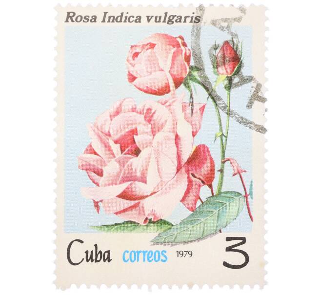 Почтовая марка 3 сентаво 1979 года Куба «Флора — Роза индийская» (Артикул: K12-81611) — Фото №1