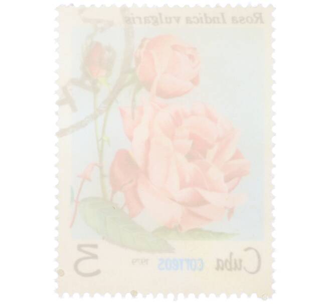 Почтовая марка 3 сентаво 1979 года Куба «Флора — Роза индийская» (Артикул: K12-81611) — Фото №2