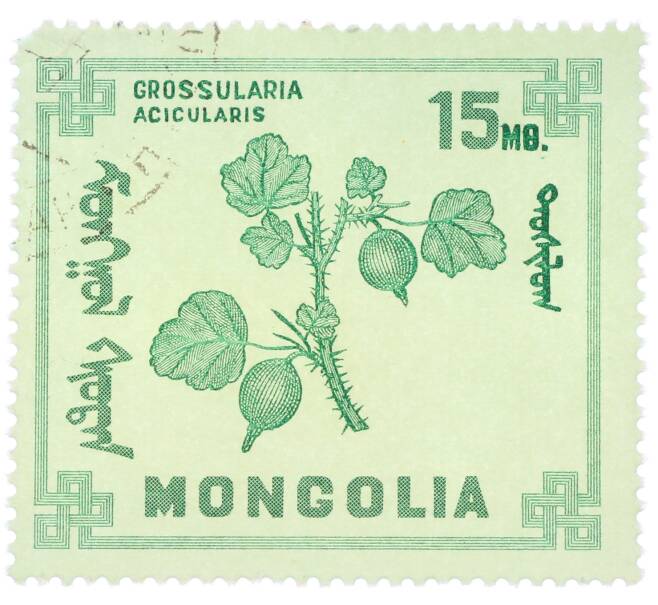 Почтовая марка 15 мунгу 1968 года Монголия «Ягоды — Крыжовник игольчатый» (Артикул: K12-81613) — Фото №1