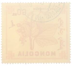 Почтовая марка 60 мунгу 1968 года Монголия «Ягоды — Смородина красная» — Фото №2