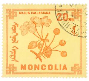 Почтовая марка 20 мунгу 1968 года Монголия «Ягоды — Яблоня Палласова» — Фото №1