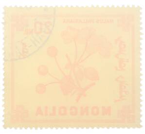 Почтовая марка 20 мунгу 1968 года Монголия «Ягоды — Яблоня Палласова» — Фото №2