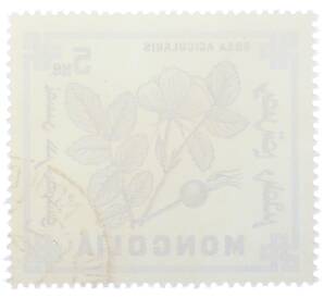 Почтовая марка 5 мунгу 1968 года Монголия «Флора — Шиповник иглистый» — Фото №2