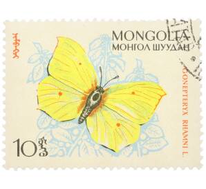 Почтовая марка 10 мунгу 1963 года Монголия «Бабочки — Лимонница»  — Фото №1