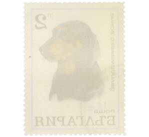 Почтовая марка 2 стотинки 1970 года Болгария «Породы собак — Болгарская гончая»  — Фото №2