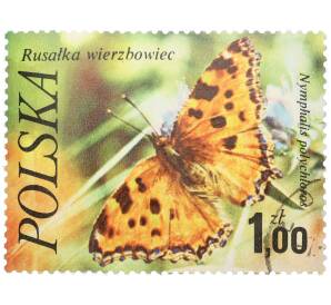 Почтовая марка 1 злотый 1977 года Польша «Бабочки — Углокрыльница ивовая» — Фото №1