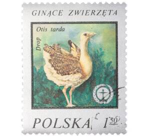 Почтовая марка 1.50 злотых 1977 года Польша «Охрана окружающей среды — Дрофа» — Фото №1