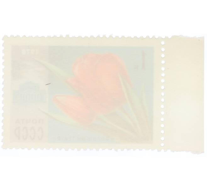 Почтовая марка 1 копейка 1978 года «Цветы Москвы — Тюльпан Большой театр» (Артикул: K12-81717) — Фото №2