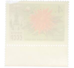 Почтовая марка 4 копейки 1978 года «Цветы Москвы — Георгина Красная звезда» — Фото №2