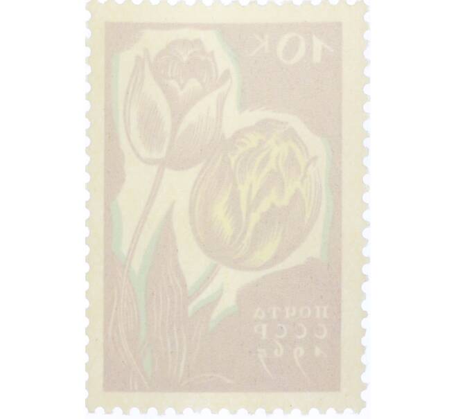 Почтовая марка 10 копеек 1965 года «Цветы — Тюльпаны» (Артикул: K12-81720) — Фото №2