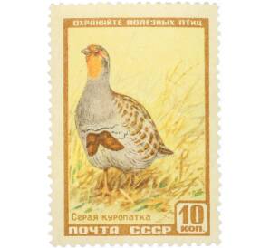 Почтовая марка 10 копеек 1961 года «Фауна СССР — Серая куропатка» — Фото №1