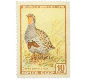 Почтовая марка 10 копеек 1961 года «Фауна СССР — Серая куропатка» — Фото №1