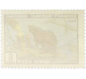 Почтовая марка 6 копеек 1961 года «Фауна СССР — Бобр» — Фото №2