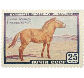 Почтовая марка 25 копеек 1959 года «Фауна СССР — Лошадь Пржевальского» — Фото №1