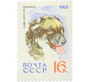 Почтовая марка 16 копеек 1965 года «Служебные и охотничьи собаки — Кавказская овчарка» — Фото №1